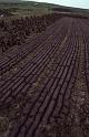 RWT 0328 344-36 Ireland Peat